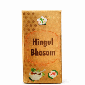 BHPI Bharat Hingul Bhasam Ayurvedic Digestive Support (10gm)
